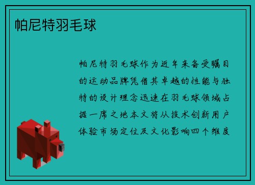 帕尼特羽毛球