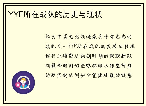 YYF所在战队的历史与现状